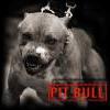 523iA туринг на органы - последнее сообщение от pitbull